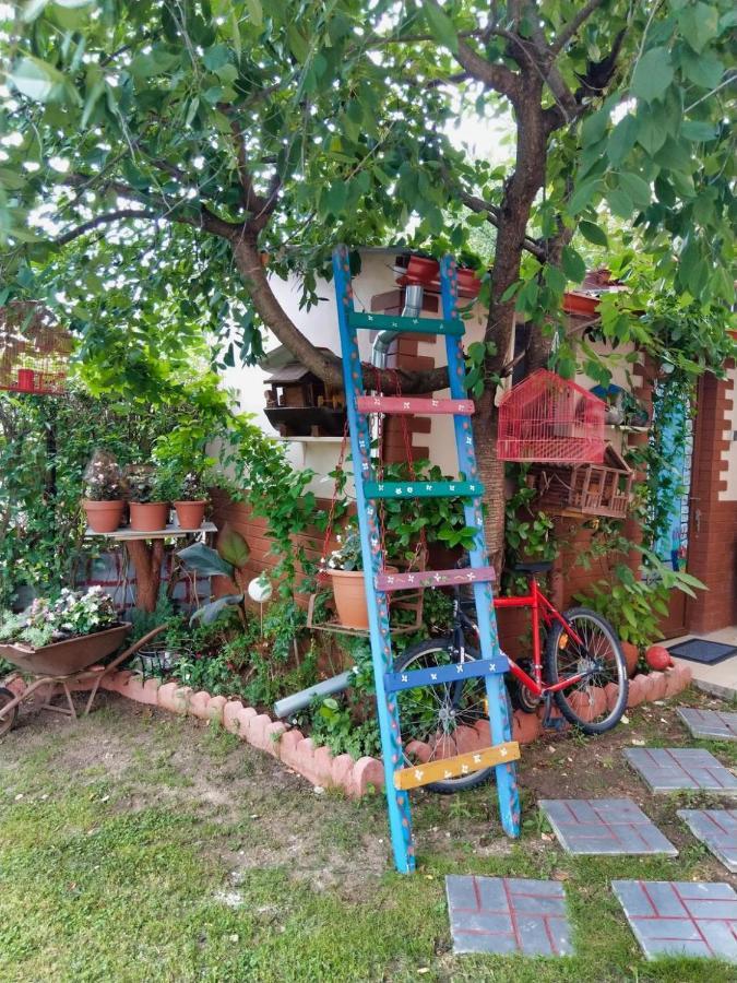 Mama'S Cozy Room 1 Kalambaka Exterior foto